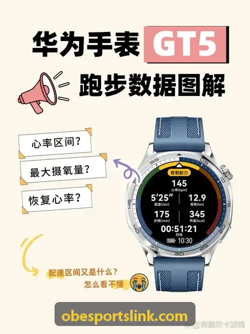 OB电竞数据架构图与技术接口解析看板